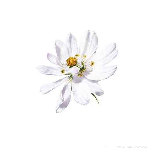 开创全新通用3D大模型，VAST将3D生成带入“秒级”时代