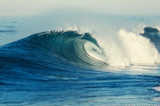 2024年，AI浪潮能否延续？