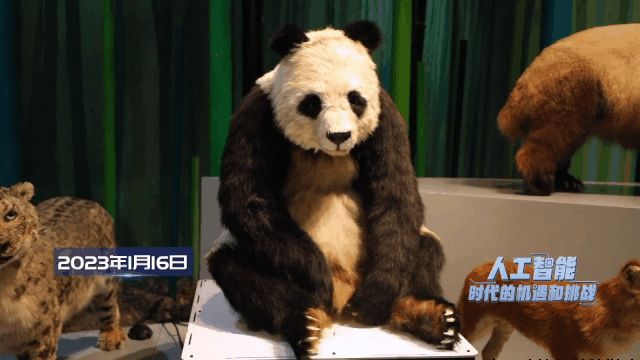 人类与人工智能的关系究竟该如何定义？握手是另一种结局