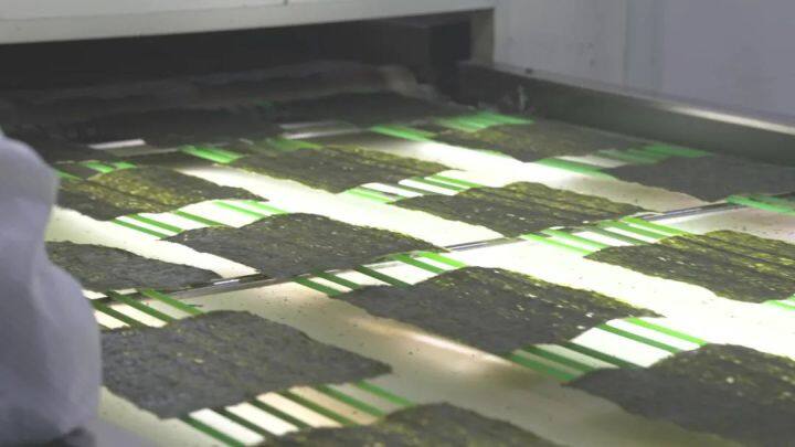 江苏启东：电力大数据助力做优“土特产”，小紫菜变身致富“金疙瘩”