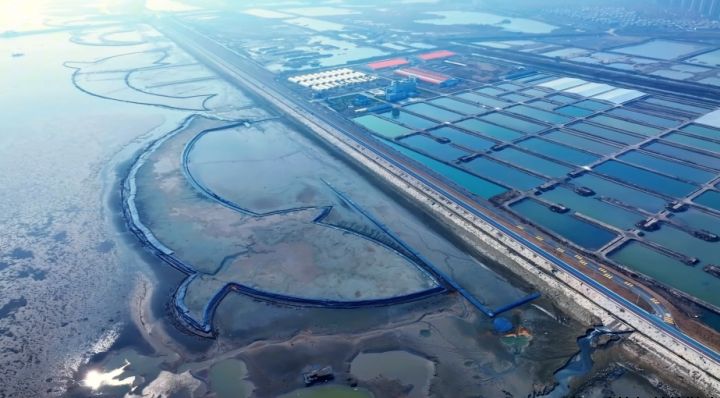 江苏启东：电力大数据助力做优“土特产”，小紫菜变身致富“金疙瘩”